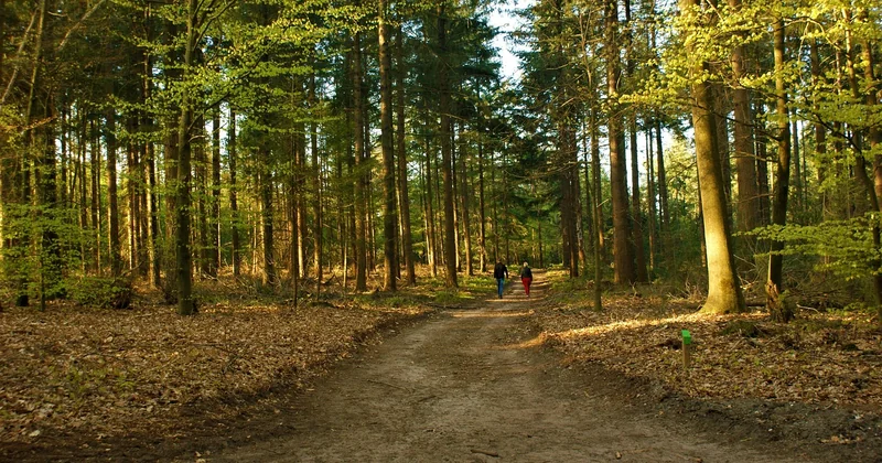 L'itinéraire type : une boucle de cinq jours dans le Jura intérieur