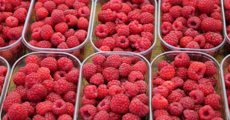 Se nourrir à Vienne : le Naschmarkt et les bonnes adresses