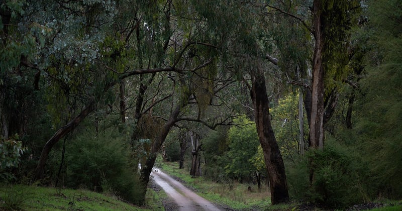 10 idées de road trip nature en famille hors des sentiers battus
