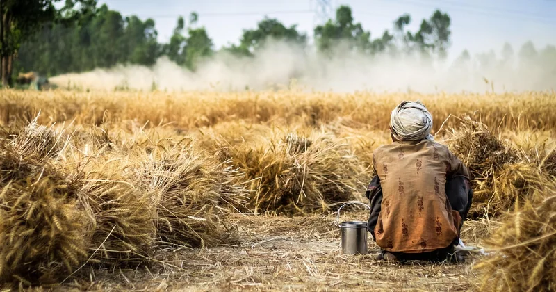 Trouver la bonne ferme : la méthode qui évite les catastrophes