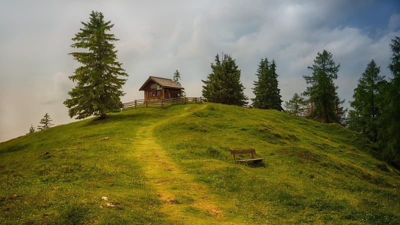 Séjour insolite en cabane perchée pour couple : 12 adresses de rêve